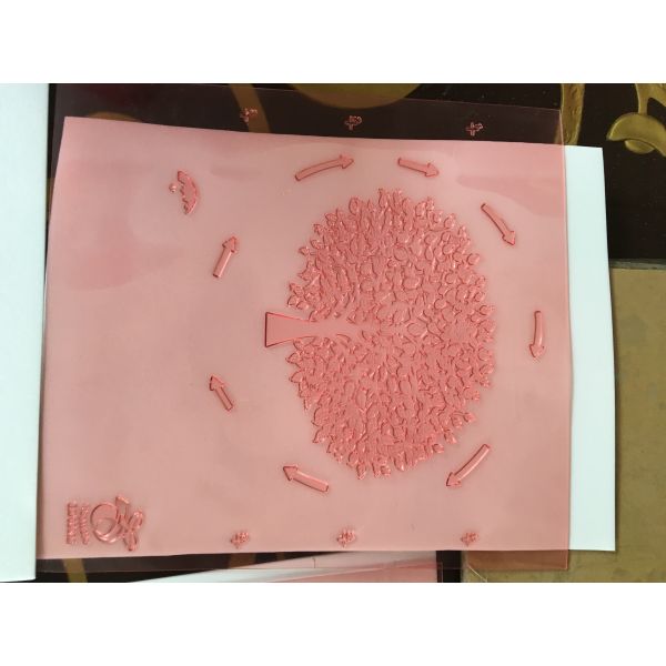 High Resolution Flexo Printing Resin Board Imaging Shimei Digital Plates