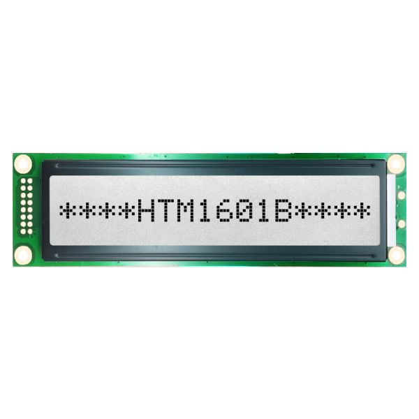 16x1 Monochrome LCD Display Module , S6A0069 Small LCD Module HTM1601B