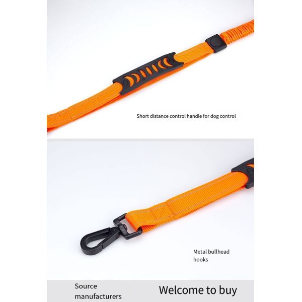 Custom Multi Functional Pet Leash Hands Free Dog Leash And Collars Set