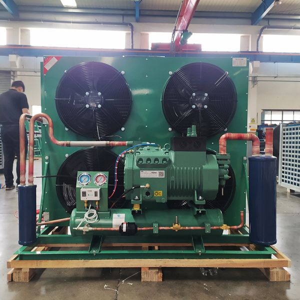 Air Cooled Refrigeration Unit Cold Storage Core Components Including Motor Gear Cold Room Compressor Condensing Unit 180kg
