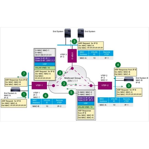 Network Packet Broker VXLAN Header Stripping Of Underlay Overlay And VTEP Ethernet Tap Device