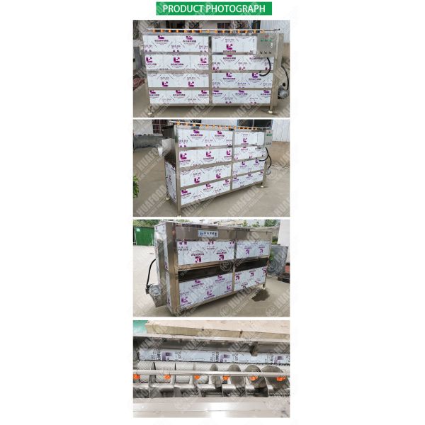 2000kg/h SUS304 Vegetable Screw Peeling Washing Machine