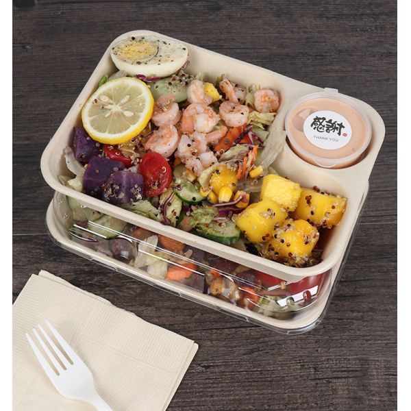 22.4x16x4.5cm Biodegradable Bamboo Pulp Packaging 850ml Microwaveable