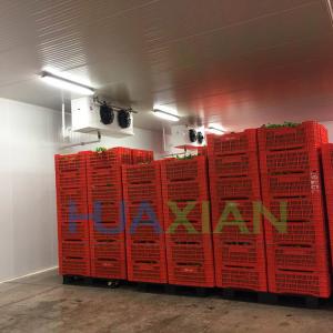 China Compressor Condenser Refrigeration Cold Storage Room Type Walk in Refrigerator Sandwich Wall Panel on sale