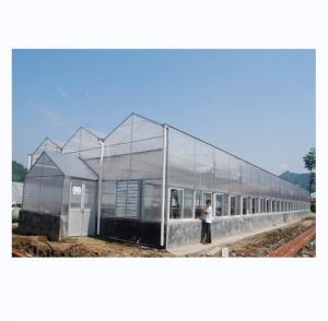 China Industrial Polycarbonate Sheet Greenhouses Ideal for Growing Vegetable Fruits Flowers on sale