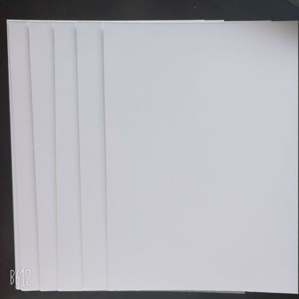 White Art Cardboard Sheets with C2S Duplex Board Paper Type
