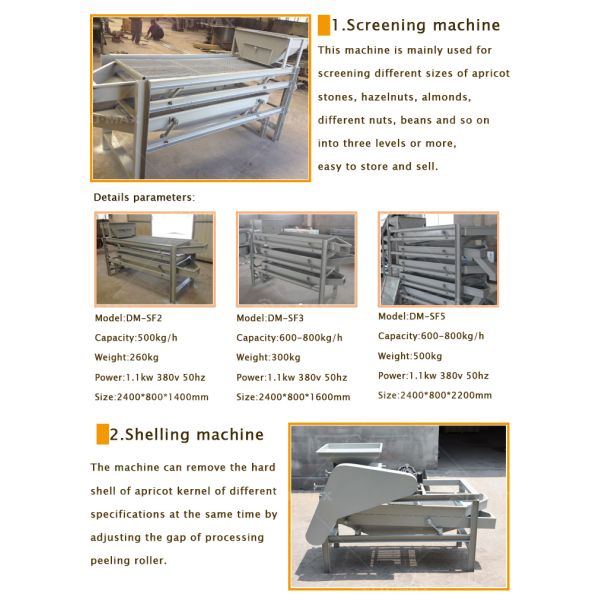Full Automatic Hazelnut Kernel Shell Separator Line for Easy Operation Farms