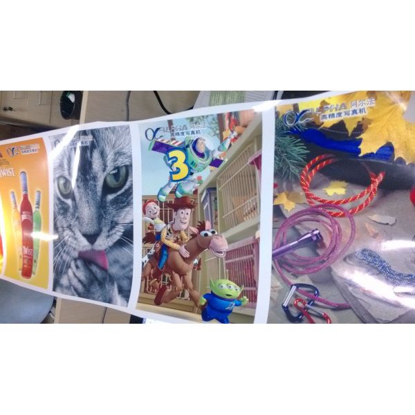 ALPHA DX5 Print Head Eco Solvent Printer China Supplier