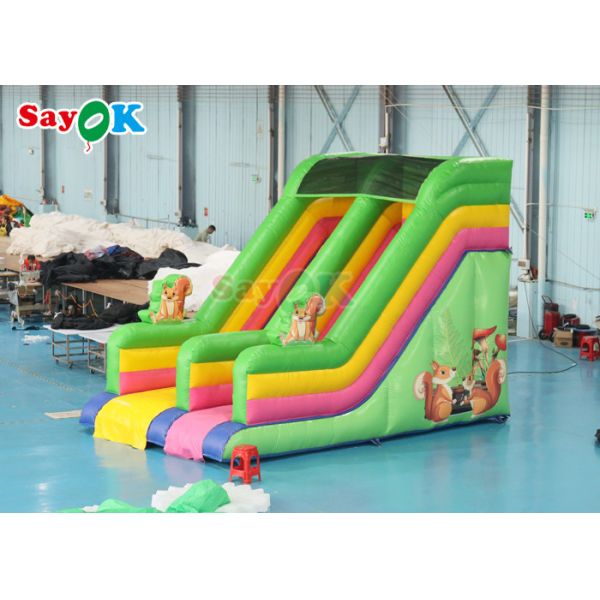 Commercial Grade Inflatable Water Slide Custom Rainbow Inflatable Slide