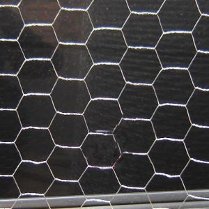 Galvanized Wire Mesh/Chicken Wire Mesh with Hexagonal Wire Netting