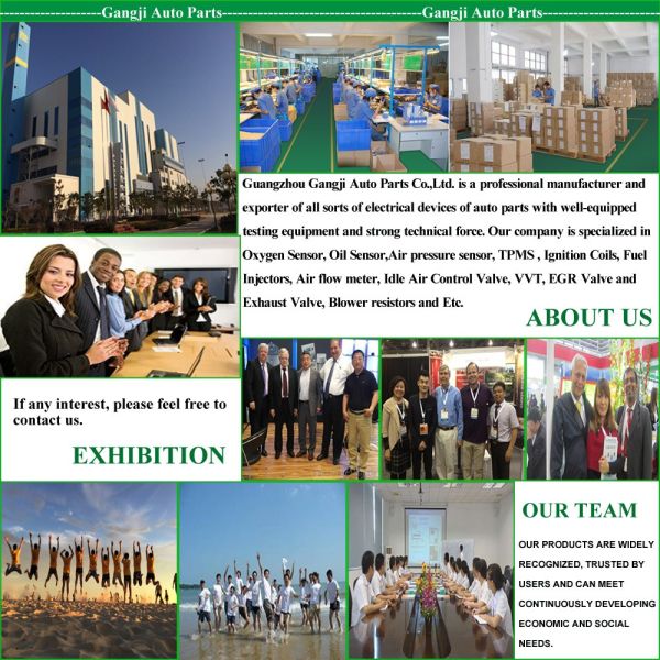 Auto Fuel Injector OEM BB5Z9F593B 0261500148 BB5Z 9F593-B 12638530