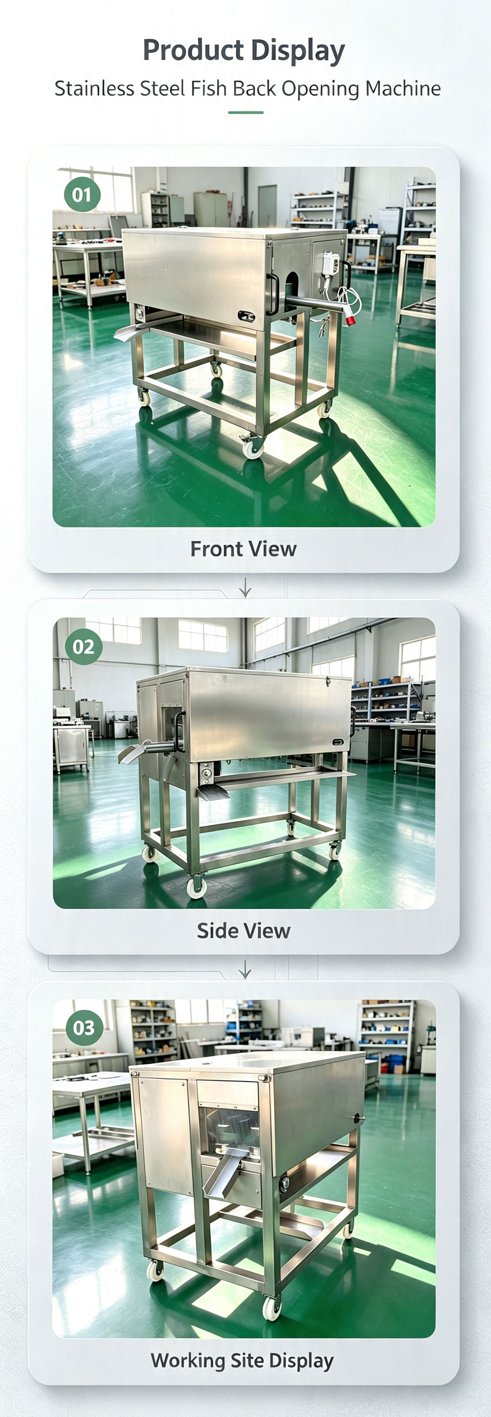 Continuous Fish Back Splitter Matching Fish Processing Line for Snakehead Mekong Catfish Tilapia Aquatic Product Factory