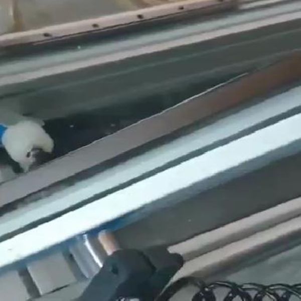 Pvc window rubber seals machine inserting automatic upvc doors and windows machines