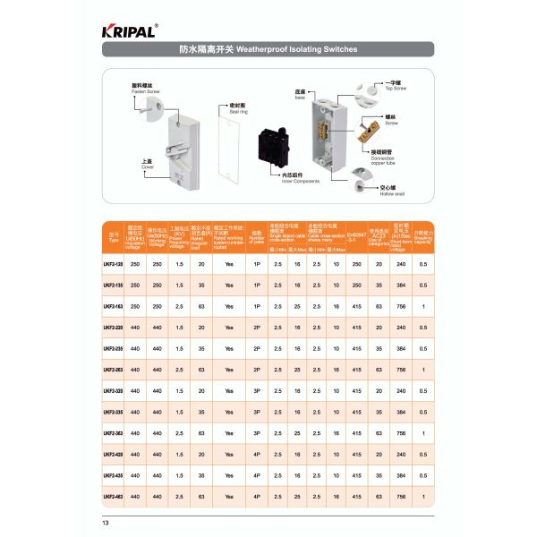 63A 1Pole IP66 Industrial Outdoor Waterproof Isolating Switch