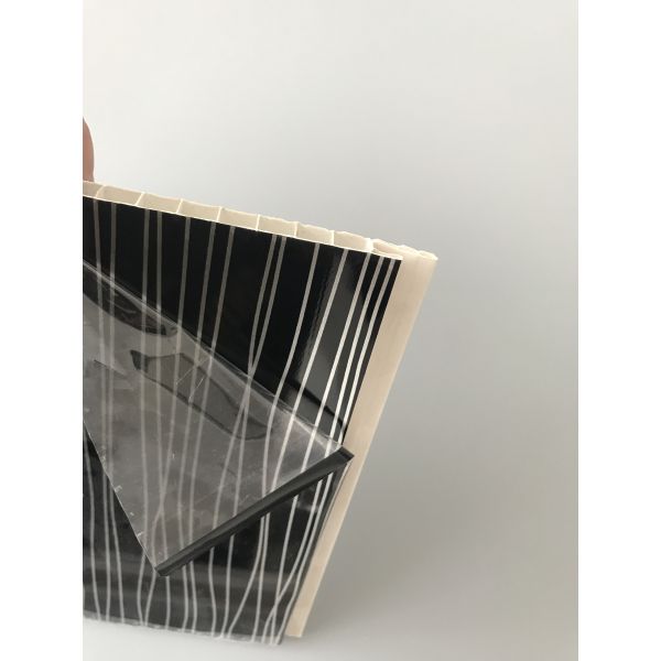 OEM / ODM Design Decorative Pvc Wall Panels Black Rectangle Hollow Structure