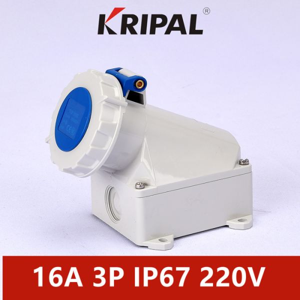 IP67 16A 380V 4 Pole Industrial Wall Mounted Socket IEC Standard