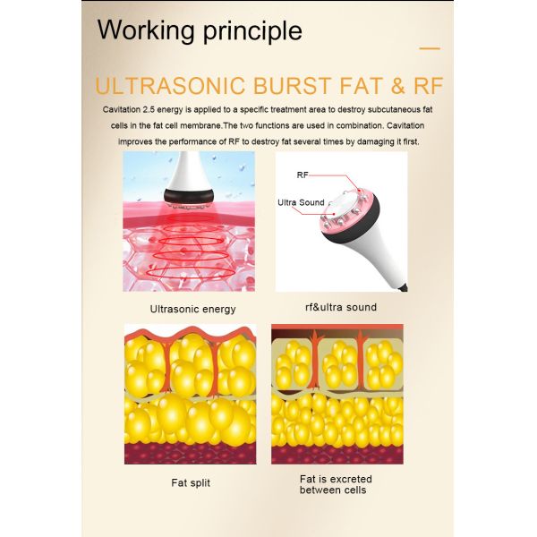 6 In 1 Ultrasonic Cavitation Machine