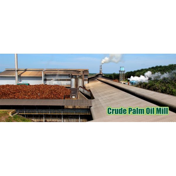 High Capacity Palm Oil Processing Machine Malaysia for Cold Hot Pressing Production