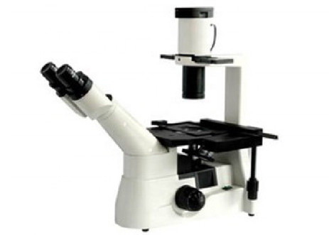 RMS Threaded Inverted Optical Microscope Light WF10X/22mm Living Cell