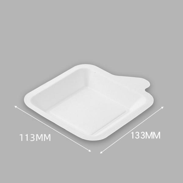 Biodegradable Disposable Paper Plates for Cake/ Fruit/ Salad Initial Payment Required