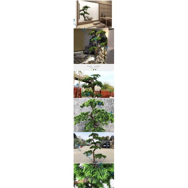 Home Decoration Cement Artificial Pine Tree Non - Toxic Moisture Resistant