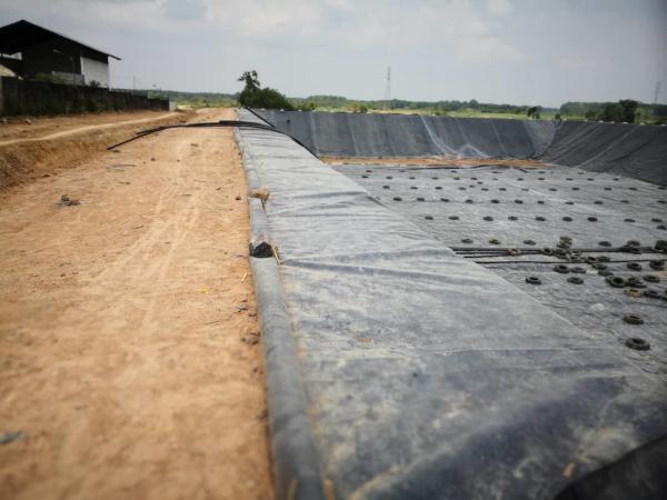 Buy Anti Leakage 2mm HDPE Geomembrane Dam Reservoir Agricultural Pond Liner at wholesale prices