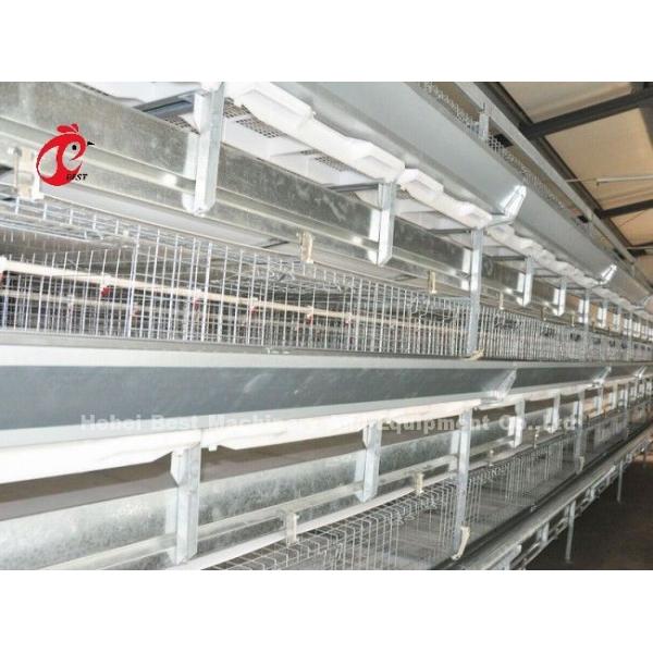 Stable A Or H Type Meat Broiler Cage System Fully Automatic Chicken Cage Doris Shi