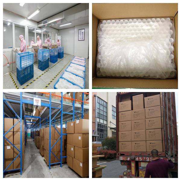 Difference Shape Metal Sponge Custom Empty Plastic Makeup Lip Gloss Cream Packaging Balm Soft Touch Tubes