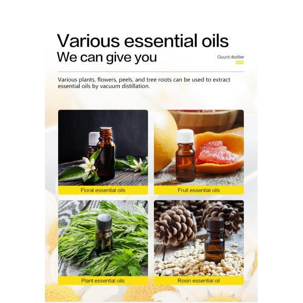 After Service Online support Eucalyptus Oil Extraction Machine/flower Essential Oil Steam Distillation/flower Oil Extractor