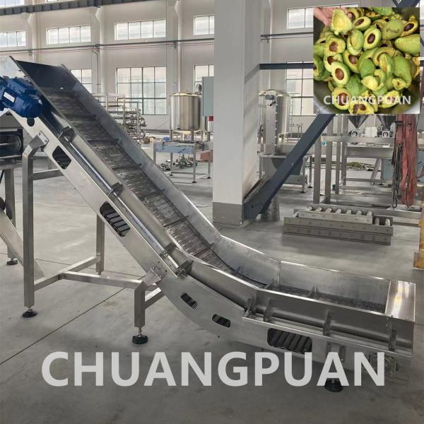 Customized 1 - 10T/H Avocado Pulp Processing Machine With Automatic Control
