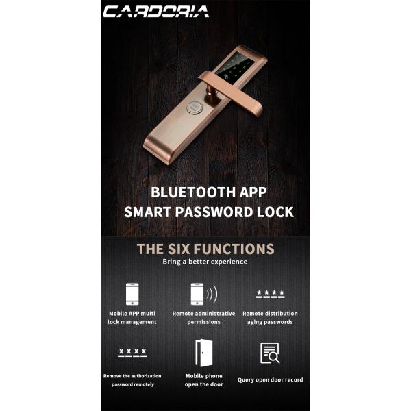 Smart Apartment Electronic Door Locks With Hidden Key Hole Passcode Unlock