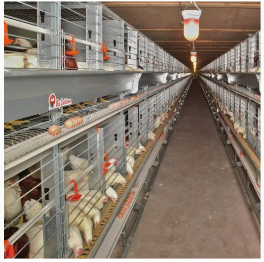 Environmental Friendly Prefabricated Galvanized Light Construction Steel Structure for Warehouse/Villa/Temporary Offices/Workshop