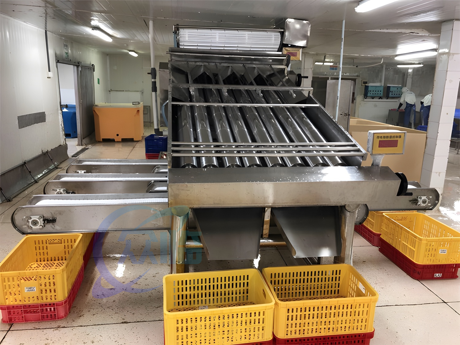 4.9kw Shrimp Processing Machine Prawn Roll Sorting Machine 1000kg-1200kg Capacity