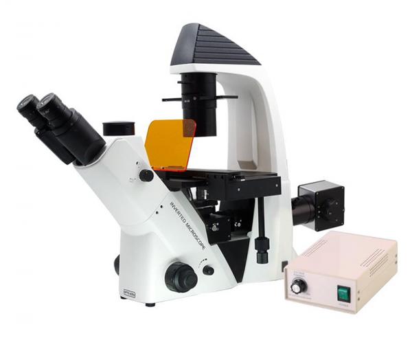Binocular Wide Field Fluorescence Microscopy A16.2614 40X - 1600X Magnification