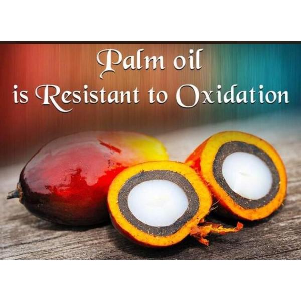 High Capacity Palm Oil Processing Machine Malaysia for Cold Hot Pressing Production