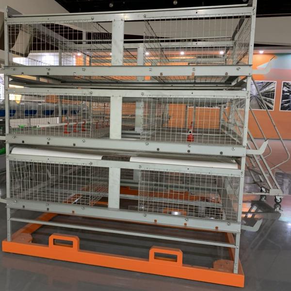 Buy Chickens Farming Feeding 4 Cell H Type Poultry Cage at wholesale prices