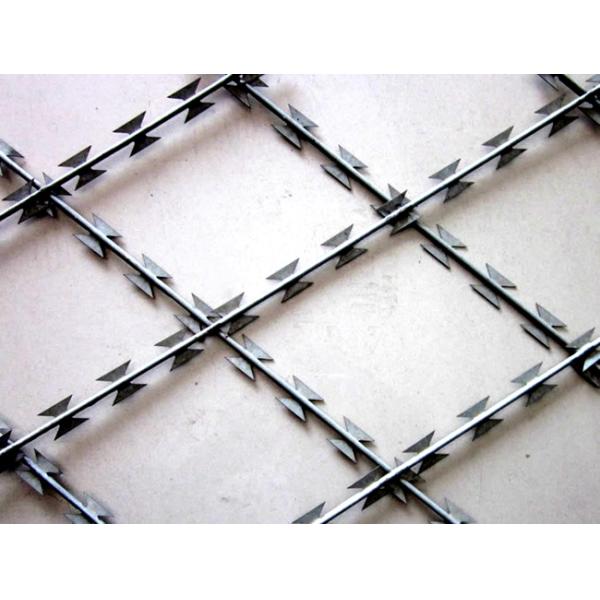 High Tensile Core Security Razor Wire Fence 0.45mm Blade Thickness Difficult To Cut