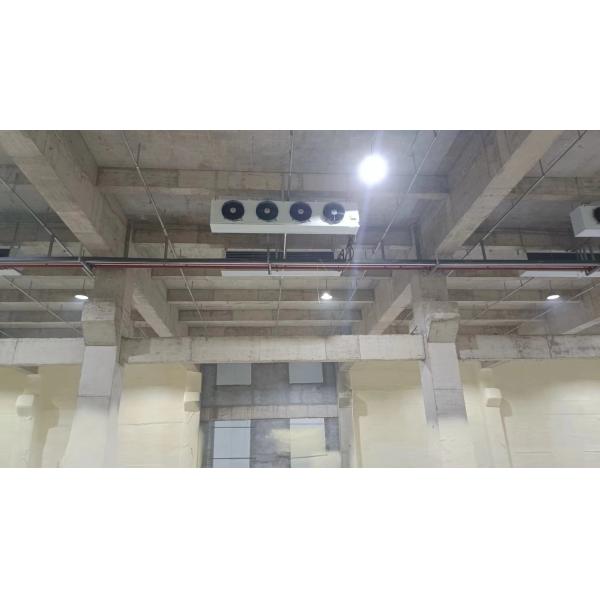 Blast Freezer Cold Room 220V 380V For Meat / Fruit / Vegetable