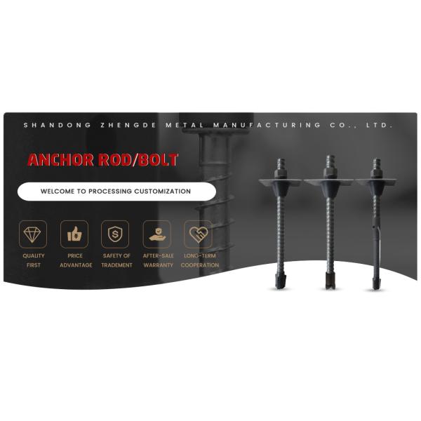Standard/Customized Steel Formwork Construction Fasteners Anchor Rod