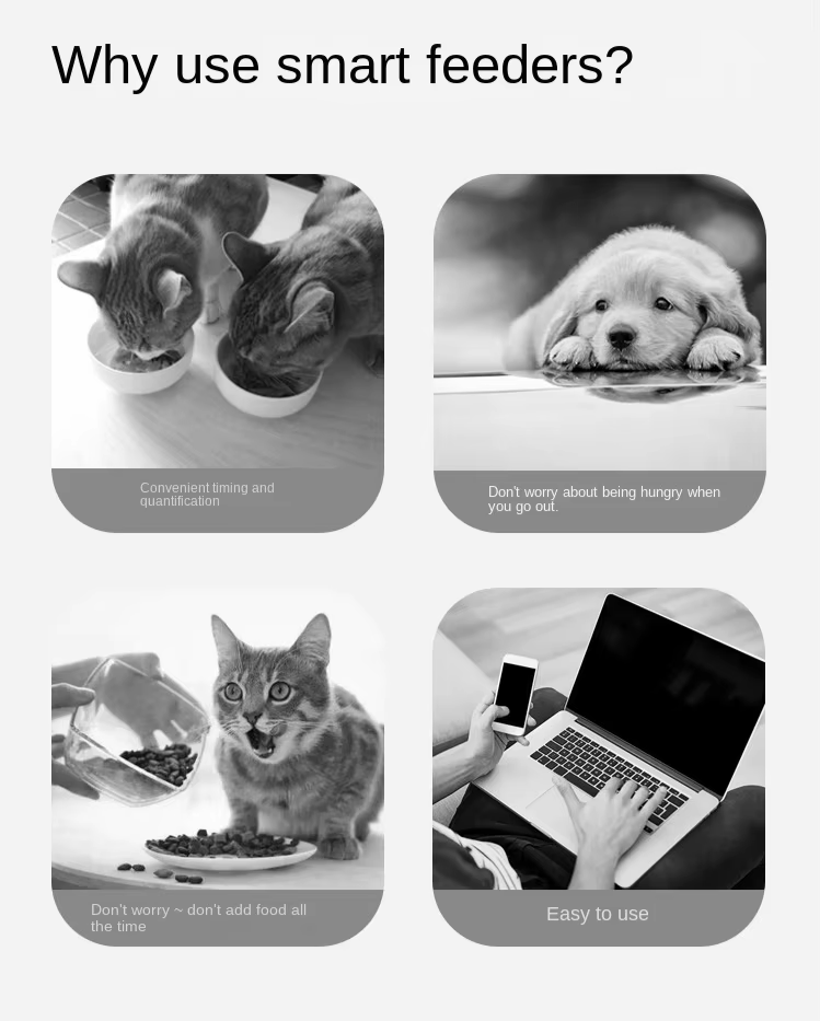 Automatic Smart Eco-Friendly Modern Pet Feeder with Camera WiFi App Control Timed Feeding for Dogs/Cats 4L Capacity Charge