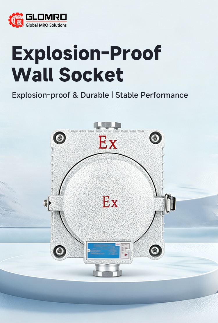 Explosion Proof Wall Socket IP66 Aluminum Alloy Industrial Flameproof Socket 10A 16A 3/5 Holes AC220V