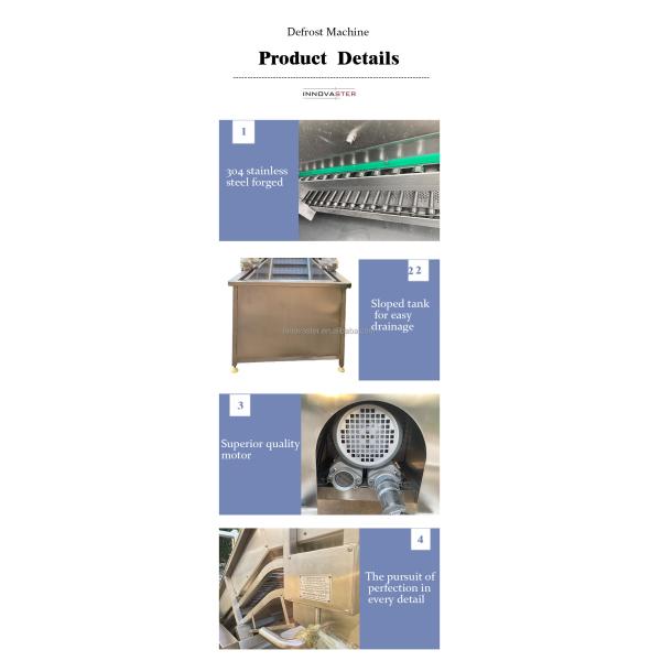 Customizable Voltage Automatic Thawing Machine for Large Quantity Ice Chicken Meat