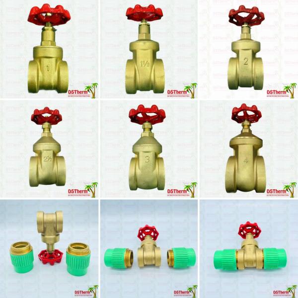3 Inch Flexible Brass Gate Valve With Plastic Ppr Part PN25
