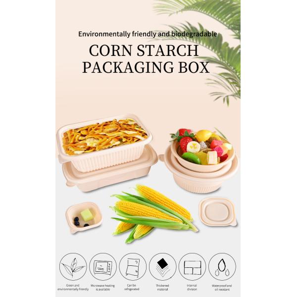 Microwavable Waterproof Biodegradable Takeaway Boxes OEM Service