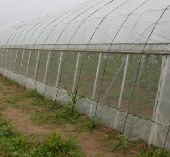 50 Mesh Plastic Screen For Agriculture And Greenhouse