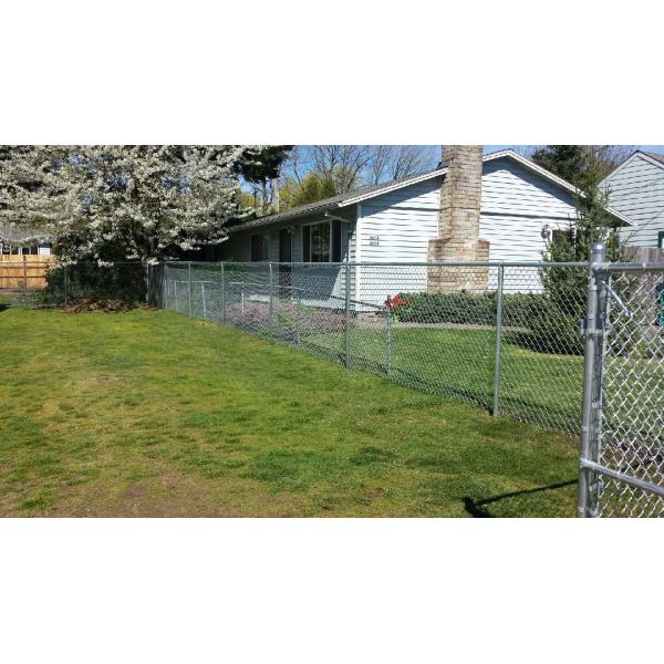 Cyclone Chain Link Mesh Galvanized PVC Coated 50x50mm 2.5in