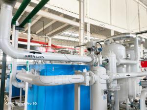 Quality Making 90% - 93% Purity O2 Psa Oxygen Gas Plant With Steady Features for sale