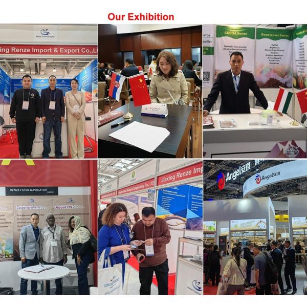 Bovine Collagen Powder for Dry Cool Place Storage Type Nutrition Enhancers White Powder