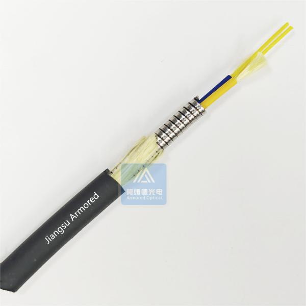 Armoured Fiber Optic Cable Multimode Duplex Cable Lszh Patch Cord BBU RRU