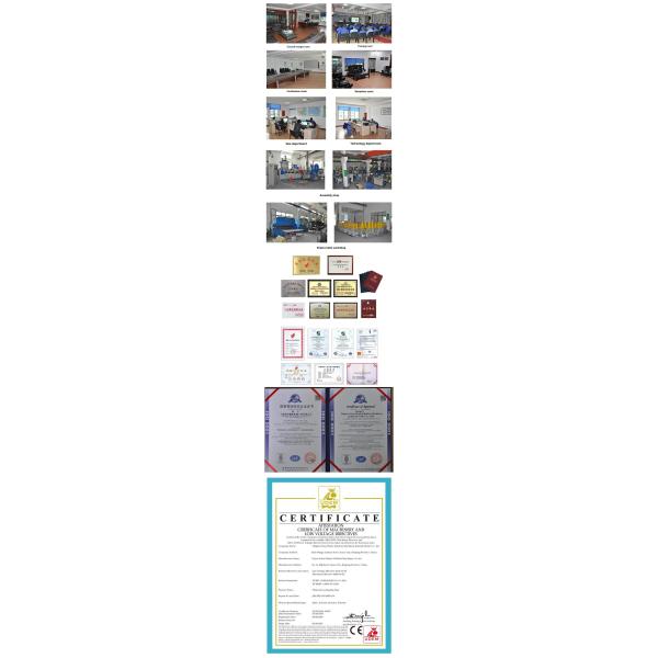 Waste Plastic Bottle Chips PET Plastic Recycling Machine Customized Voltage